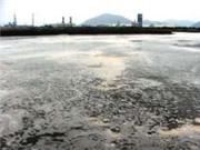 Bóng đá anh, ngoại hạng anh, lịch thi đấu euro 2012, Vedan ký cam kết bồi thường cho nông dân TP.HCM và BR - VT